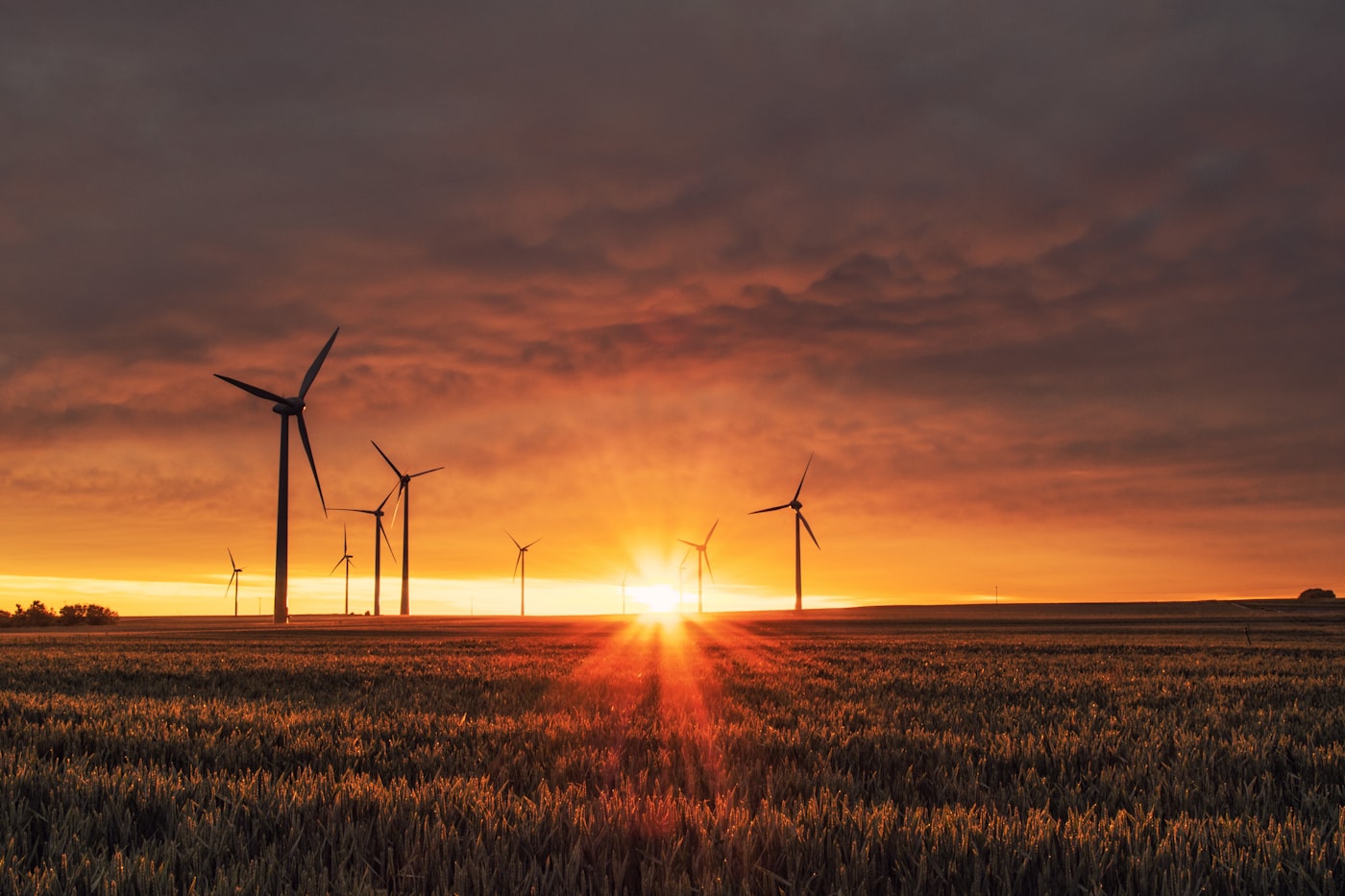 Sustainable investment